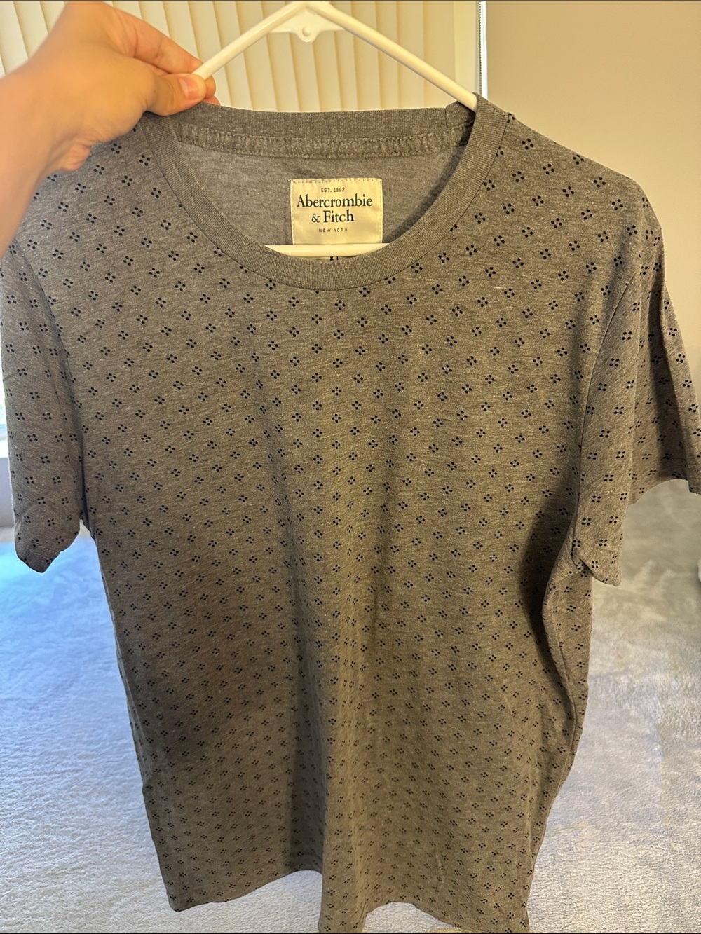 Abercrombie & Fitch Gray Crewneck Tee with Micro Dot Pattern